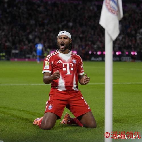 德甲-格纳布里破门齐尔克泽建功 拜仁2-0狼堡