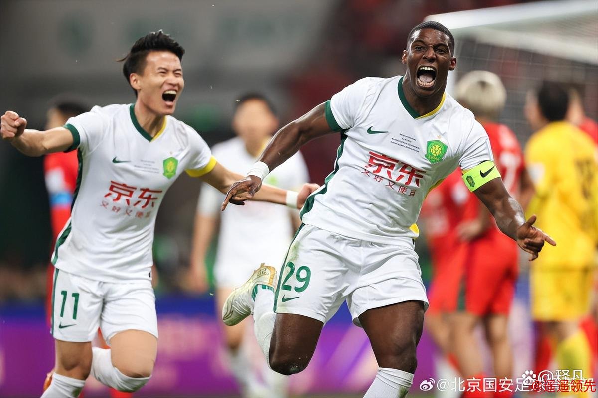 足协杯-法比奥戴帽 国安3-0河南夺冠获亚冠资格