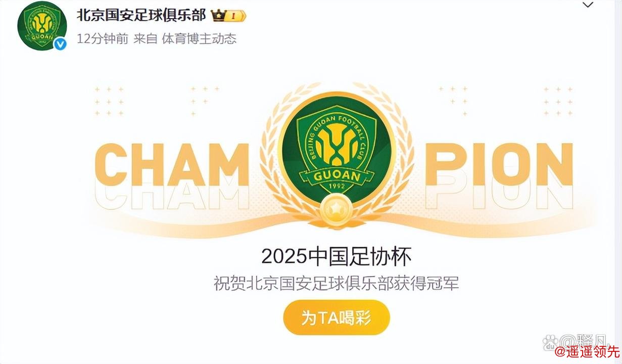 足协杯-法比奥戴帽 国安3-0河南夺冠获亚冠资格