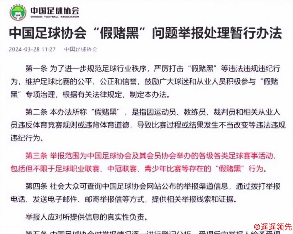 足球行业“假赌黑”问题专项整治行动发布，上海申花和海港俱乐部新赛季被罚分