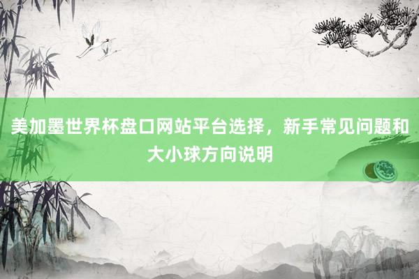 美加墨世界杯盘口网站平台选择，新手常见问题和大小球方向说明