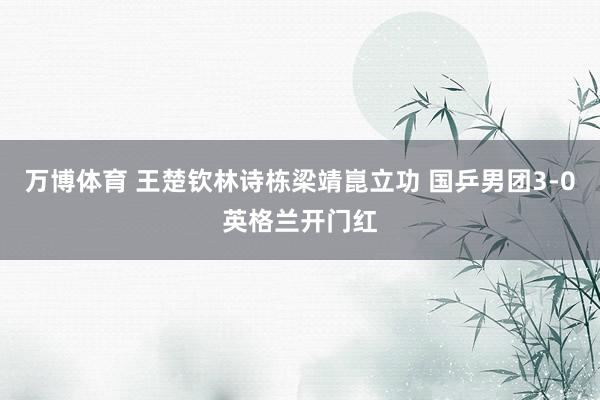 万博体育 王楚钦林诗栋梁靖崑立功 国乒男团3-0英格兰开门红